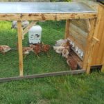 Hranitori și adapatori pentru pasari