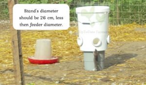 rat proof chicken feeder diy