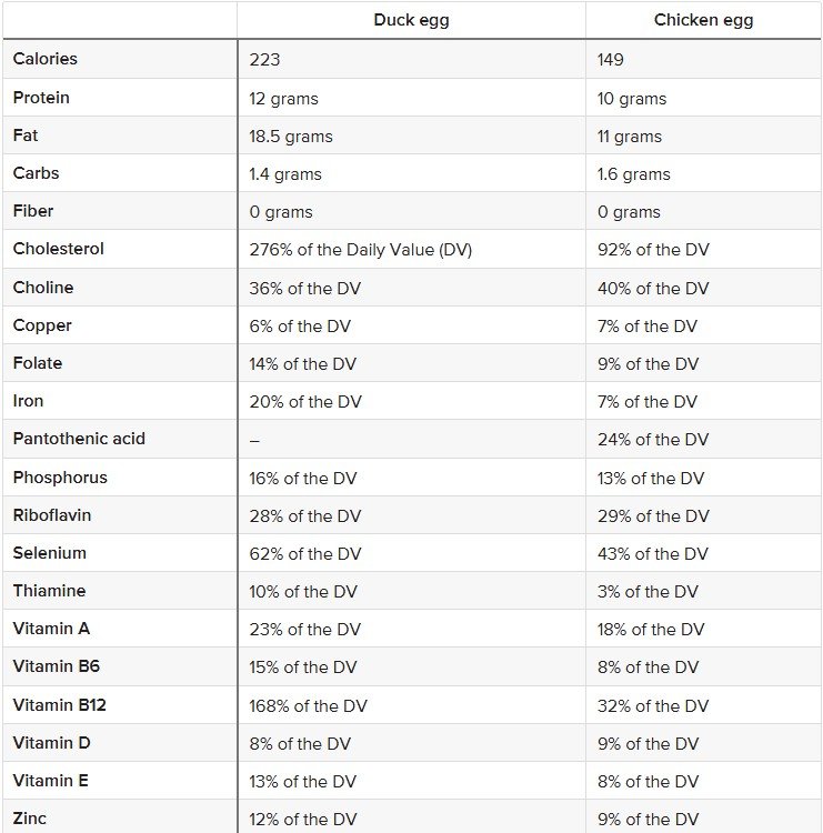 ou de rata vs ou de gaina